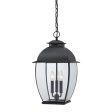 Bain Outdoor Pendant For Sale