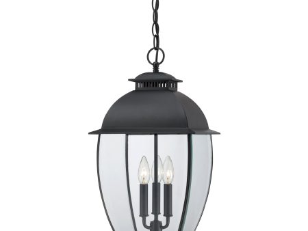 Bain Outdoor Pendant For Sale