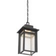 Beacon Outdoor Pendant Cheap