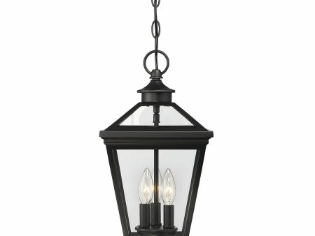 Ellijay Outdoor Pendant Online Hot Sale