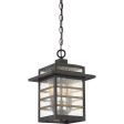 Plaza Outdoor Pendant Supply