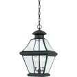 Rutledge Outdoor Pendant Discount