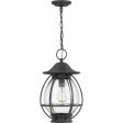 Boston Outdoor Pendant Cheap