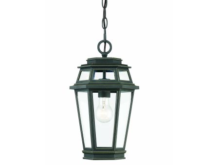 Holbrook Outdoor Pendant Online now