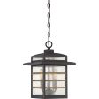 Plaza Outdoor Pendant Supply