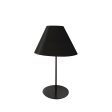 Maine Table Lamp Discount