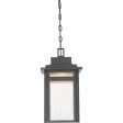 Beacon Outdoor Pendant Cheap