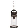 Steadman Outdoor Pendant Sale