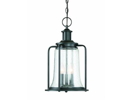 Tacoma Outdoor Pendant Online Hot Sale