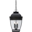 Bain Outdoor Pendant For Sale