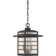 Plaza Outdoor Pendant Supply