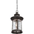 Chimera Outdoor Pendant Cheap