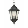 Martinsville Outdoor Pendant Online now