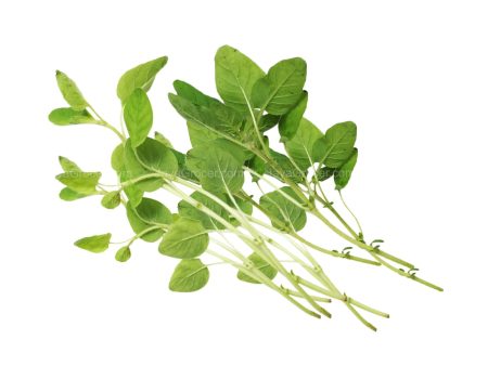 Cameron Garden Oregano Leaves 10g Sale