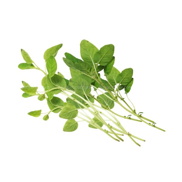 Cameron Garden Oregano Leaves 10g Sale