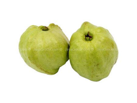 Seedless Guava (Malaysia) 500g Supply