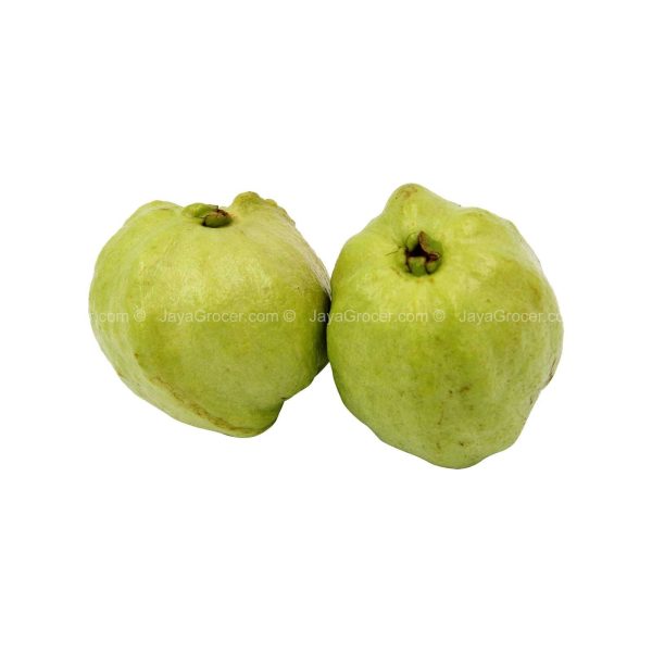 Seedless Guava (Malaysia) 500g Supply