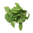 Genting Garden Sorrel Herb (Malaysia) 50g For Discount