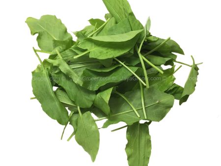 Genting Garden Sorrel Herb (Malaysia) 50g For Discount